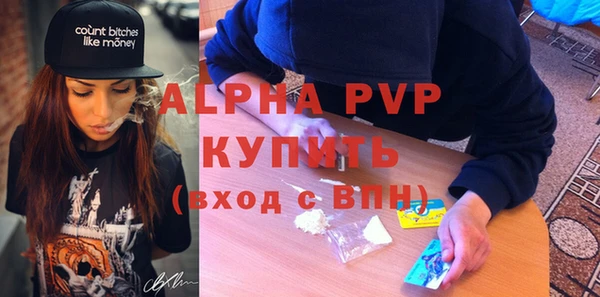прущие грибы Ладушкин