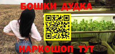 мдпв Новозыбков