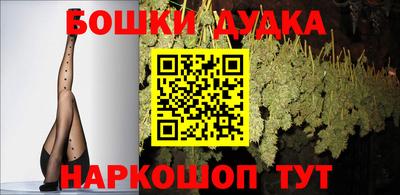 PSILOCYBIN Новокубанск