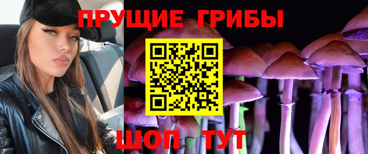 Галлюциногенные грибы мицелий  Вход с VPN  Сердобск 